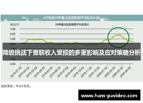 降级挑战下曼联收入受损的多重影响及应对策略分析