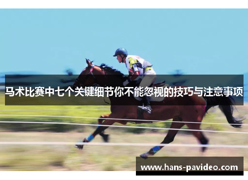 马术比赛中七个关键细节你不能忽视的技巧与注意事项
