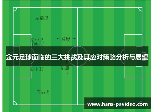 金元足球面临的三大挑战及其应对策略分析与展望