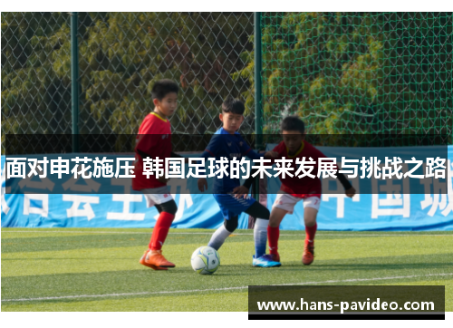 面对申花施压 韩国足球的未来发展与挑战之路