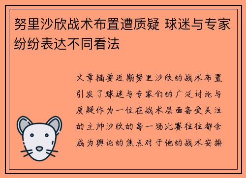 努里沙欣战术布置遭质疑 球迷与专家纷纷表达不同看法