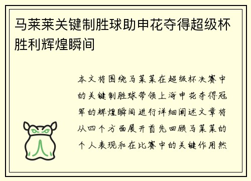 马莱莱关键制胜球助申花夺得超级杯胜利辉煌瞬间